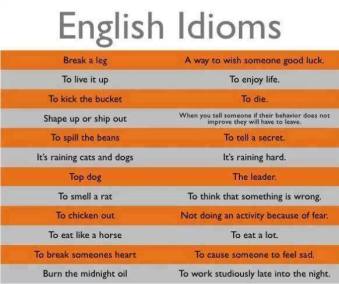 english-idiom-with-picture31